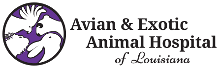 Avian & Exotic Animal Hospital of Louisiana logo