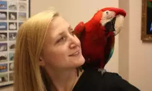 Krista with red parrot on her shoulder