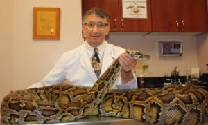 Gregory Rich DVM with a large python
